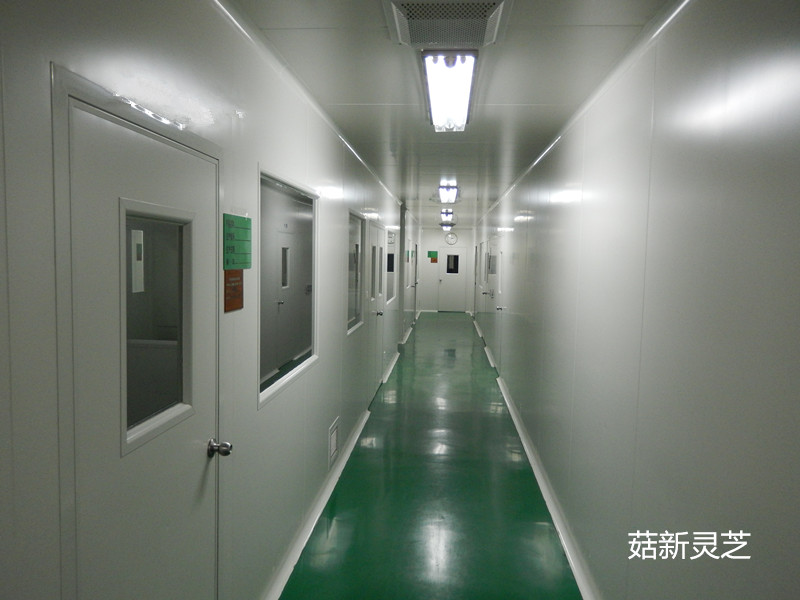 菇新靈芝孢子粉加工車(chē)間