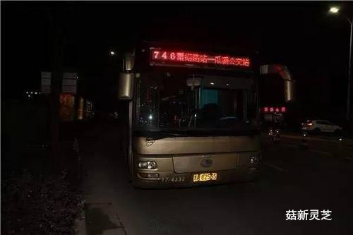 事發(fā)公交車(chē) 菇新靈芝孢子粉