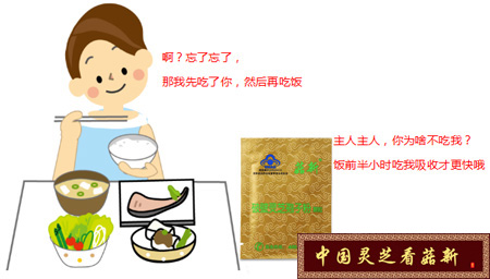 靈芝孢子粉的服用時(shí)間應(yīng)該選擇在飯前