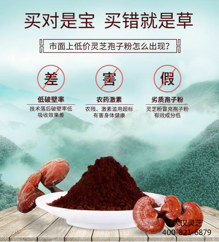破壁靈芝孢子粉是否有效，品質很關鍵