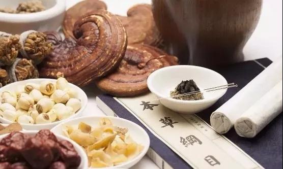 靈芝能“治病”嗎？