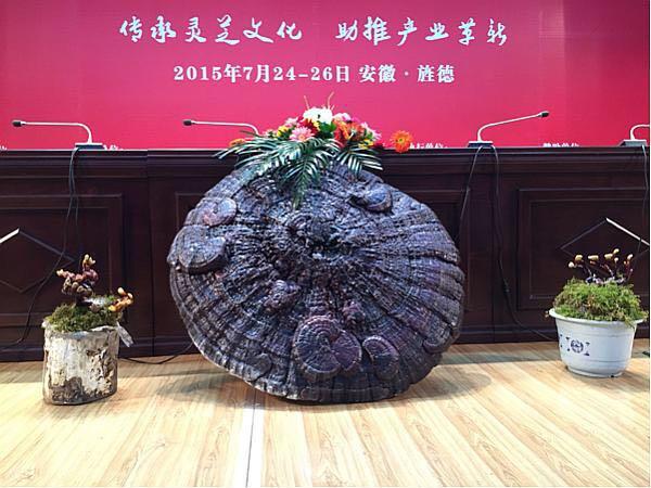 菇新靈芝帶您參觀中國靈芝峰會(huì)